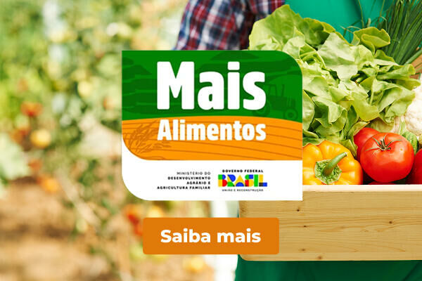 Imagem sobre Programa de apoio Mais Alimentos